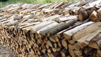 VENTE de BOIS de CHAUFFAGE et de FONDS de COUPE 