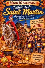 DEFILE DE LA SAINT MARTIN 